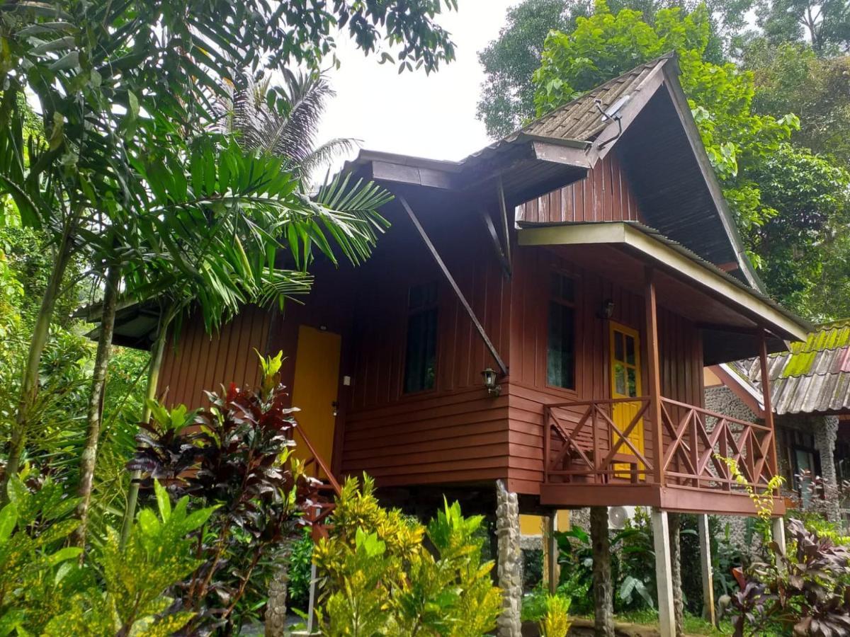 Tree Tops River Huts Khao Sok National Park Luaran gambar