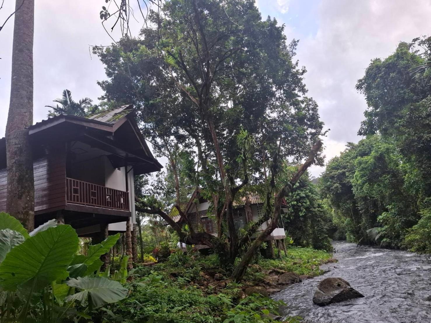 Tree Tops River Huts Khao Sok National Park Luaran gambar